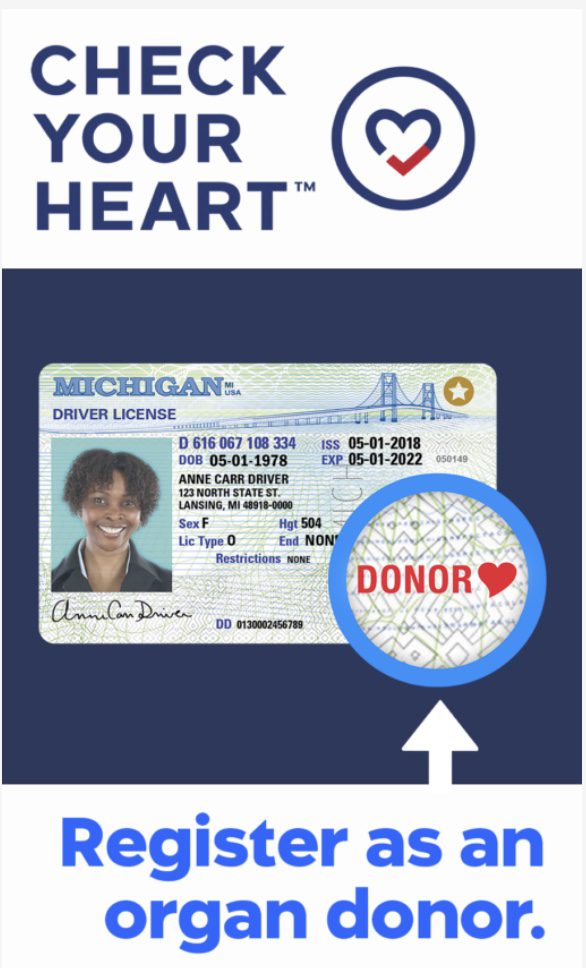 Michigan driver's license highlighting organ donor status.